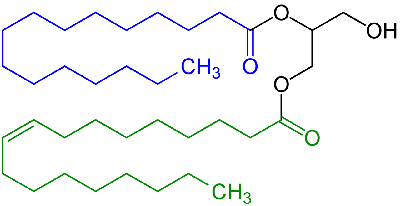 E471 Chemical Structure