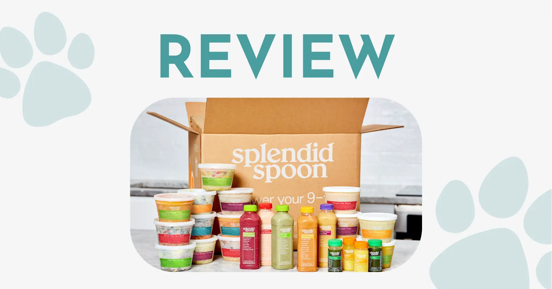 Splendid Spoon review – vegan menu and meal kits – 2023